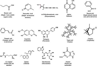 Allelopathy and its application as a weed management tool: A review